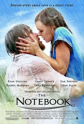 恋恋笔记本 The Notebook (2004) / 手札情缘(台)/忘了·忘不了(港)