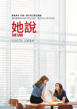 她说  She Said (2022)/她有话要说(台) 2160p.WEB-DL.x265.10bit.SDR.DD5.1-NAISU【11.25 GB】