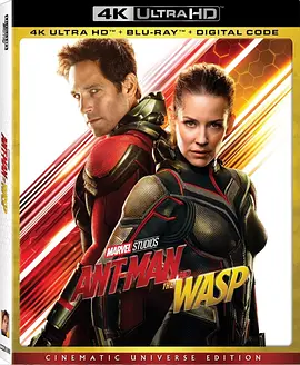 蚁人2：黄蜂女现身 4K Ant-Man and the Wasp (2018) / 蚁人2 / 蚁侠2：黄蜂女现身(港)/Ant-Man 2 / 蚁人与黄蜂女 2160p.BluRay.REMUX.HEVC.DTS-H