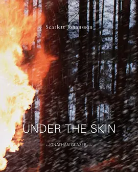 皮囊之下 Under the Skin (2013) / 肌肤之侵(台)/皮下之慌(港) 2160p.WEB-DL.x265.10bit.HDR.DTS-HD.MA.5.1-SWTYBLZ【20.54 GB】