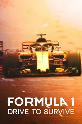 一级方程式：疾速争胜 第三季 Formula 1: Drive to Survive Season 3 (2021)/ 2160p.NF.HFR.WEB-DL.x265.10bit.HDR.DV.DDP5.1.Atmos