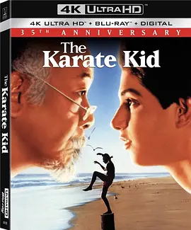 龙威小子 The Karate Kid (1984) / 空手道少年/小子难缠 / The Karate Kid 2160p.BluRay.REMUX.HEVC.DTS-HD.MA.TrueHD.7.1.Atmos-FG