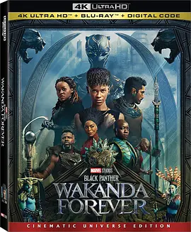 黑豹2 4K Black Panther: Wakanda Forever (2022) /台)/黑豹2：瓦干达万岁(港 2160p.BluRay.REMUX.HEVC.DTS-HD.MA.TrueHD.7.1.Atmo