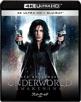 黑夜传说4：觉醒 Underworld: Awakening (2012) / 妖夜寻狼：血姬觉醒(港)/决战异世界：未来复苏3D(台) / Underworld 4: New Dawn 2160p.BluRay.REM