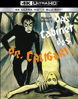 卡里加里博士的小屋 Das Cabinet des Dr. Caligari (1920) / 卡里加利博士的小屋/卡里加里博士 2160p.BluRay.REMUX.HEVC.SDR.DTS-HD.MA.2.0-FGT