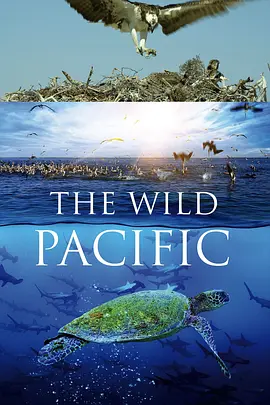 狂野太平洋 The Wild Pacific (2016)/ 2160p.BluRay.REMUX.HEVC.SDR.DTS-HD.MA.5.1-FGT【21.5GB】