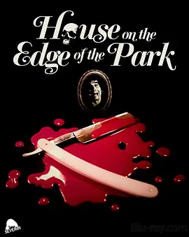 公园旁的凶屋 4K La casa sperduta nel parco (1980)/House on the Edge of the Park 2160p.BluRay.REMUX.HEVC.LPCM.2.0-FGT