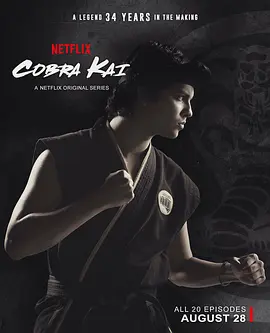 眼镜蛇 第二季 Cobra Kai Season 2 (2019)/ 2160p.NF.WEB-DL.x265.10bit.SDR.DDP5.1【26.41 GB】