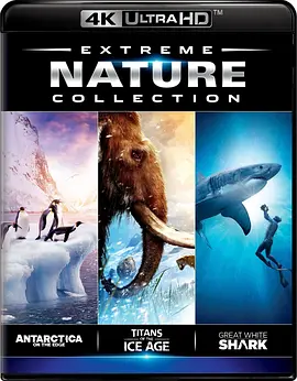 南极3D：在边缘 Antarctica 3D: On the Edge (2014)/ 2160p.BluRay.REMUX.HEVC.SDR.DTS-HD.MA.5.1-FGT【17.4GB】