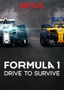 一级方程式：疾速争胜 第一季 Formula 1: Drive to Survive Season 1 (2019)/全10集 2160p.NF.HFR.WEB-DL.x265.10bit.DDP5.1.Atmos-AR