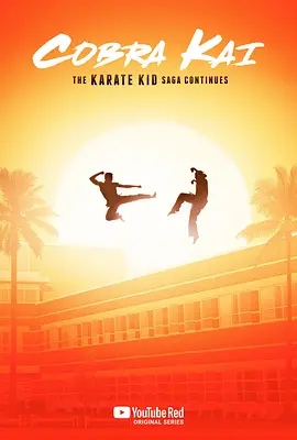 眼镜蛇 第一季 Cobra Kai Season 1 (2018)/ 2160p.NF.WEB-DL.x265.10bit.SDR.DDP5.1【25.16 GB】