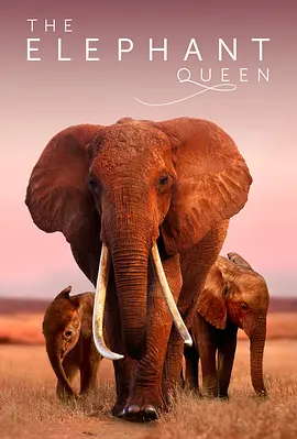 大象女王 The Elephant Queen (2018)/ 2160p.ATVP.WEB-DL.DDP5.1.Atmos.DV.MP4.x265-iKA【16.58 GB】【杜比视界】