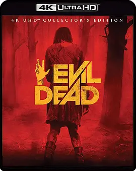 鬼玩人 Evil Dead (2013) / 鬼玩人4/尸变(台) 2160p.BluRay.REMUX.HEVC.DTS-HD.MA.5.1-FGT【48.05 GB】