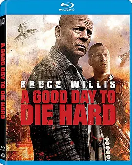 虎胆龙威5 A Good Day to Die Hard (2013)/  1080p.BluRay.REMUX.AVC.DTS-HD.MA.7.1-FGT【22.90 GB】