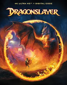 屠龙记 Dragonslayer (1981)/ 2160p.BluRay.REMUX.HEVC.DTS-HD.MA.TrueHD.7.1.Atmos-FGT【48.28 GB】